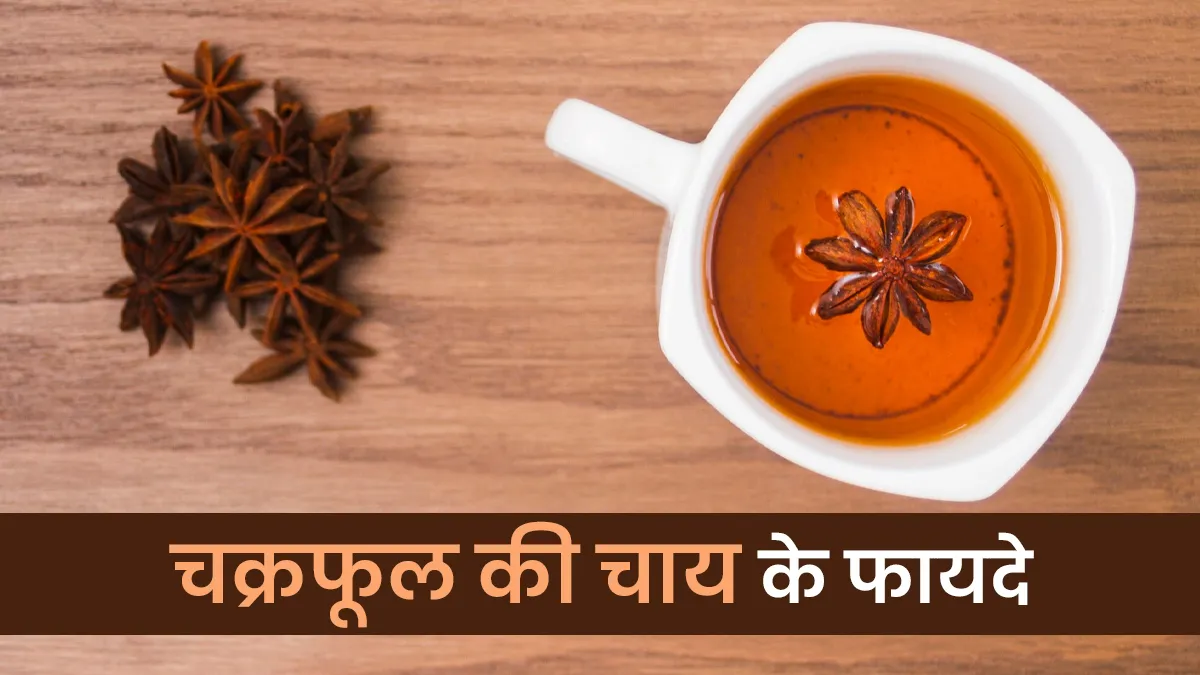 सर्दियों में चक्र फूल की चाय क्यों है जरूरी? आयुर्वेदाचार्य से जानें इसके फायदे और बनाने का तरीका
