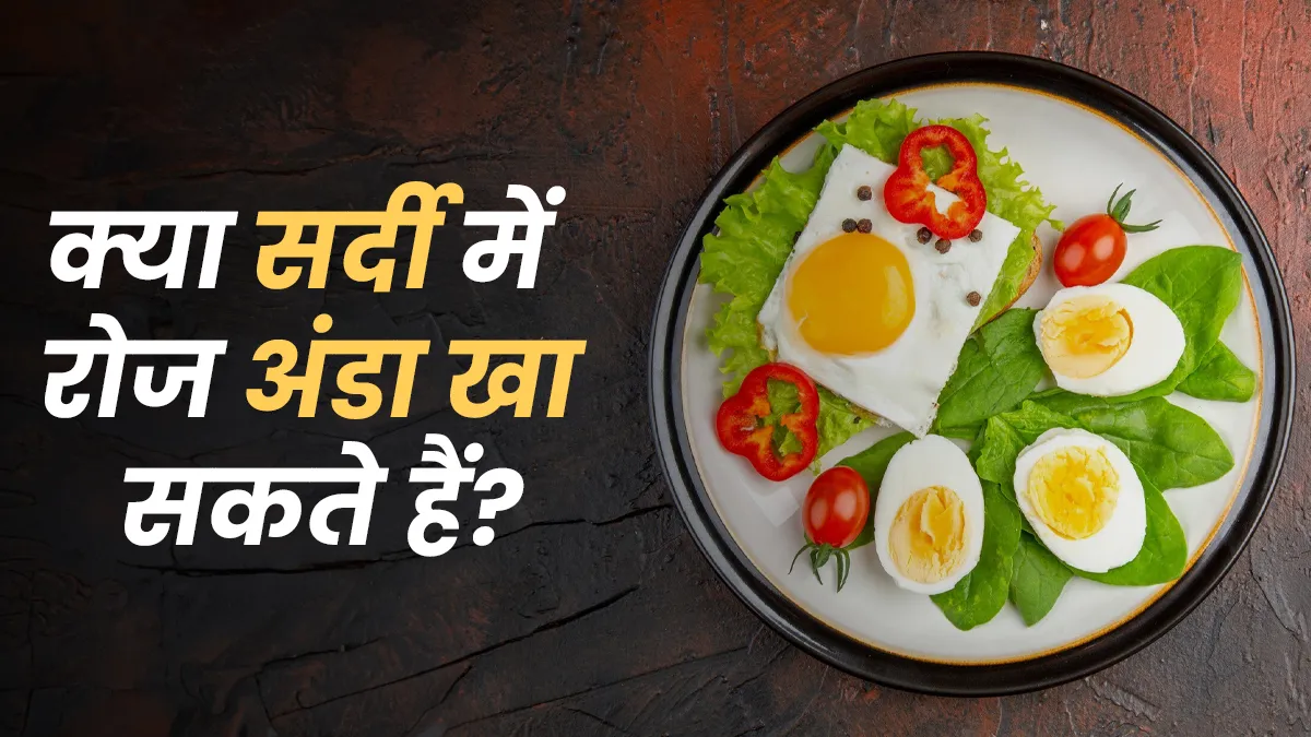 क्या सर्दी में रोज अंडा खा सकते हैं? जानें कितने अंडे खाना है सही