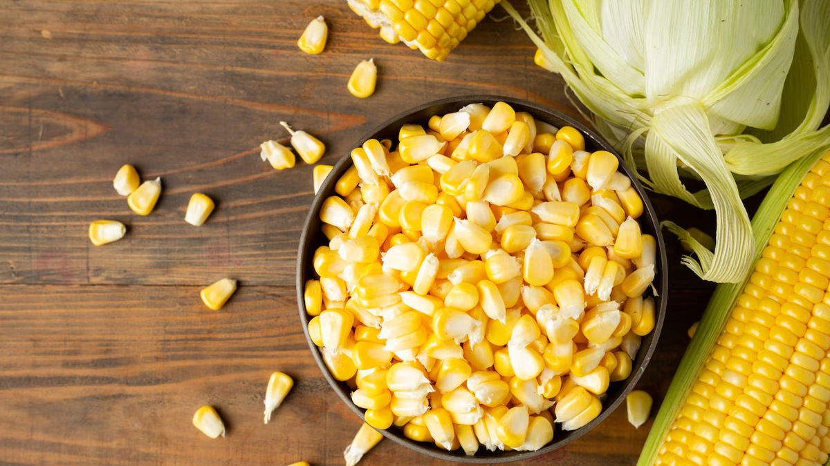 can we eat corn if uric acid increases in hindi 1
