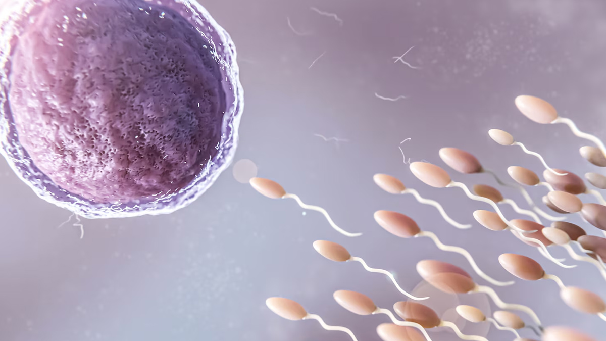 fertility expert tips to improve sperm quality in hindi 1