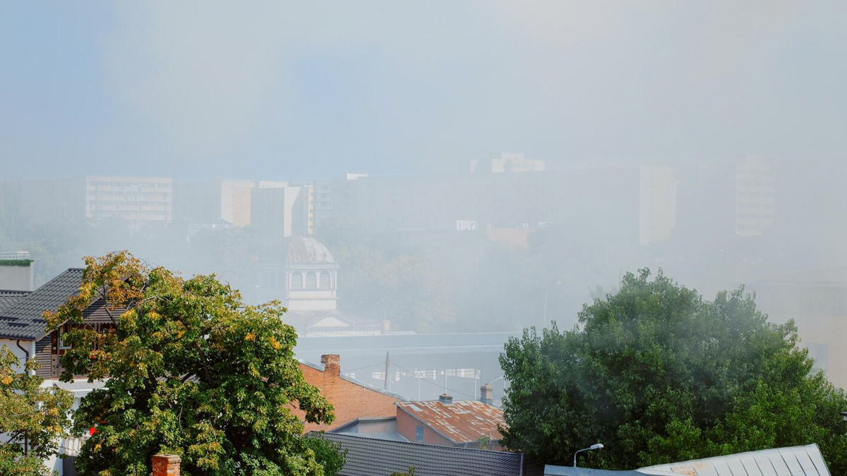 health emergency in delhi ncr in hindi doctor quote