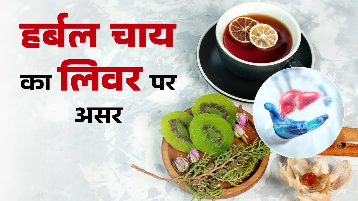 क्या ज्यादा हर्बल टी पीने से लिवर को नुकसान होता है? जानें आयुर्वेदाचार्य की सलाह
