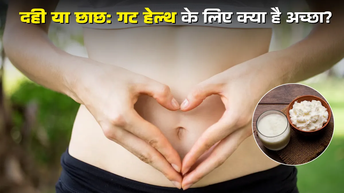 दही या छाछ, गट हेल्थ के लिए क्या है बेहतर? एक्सपर्ट से जानें