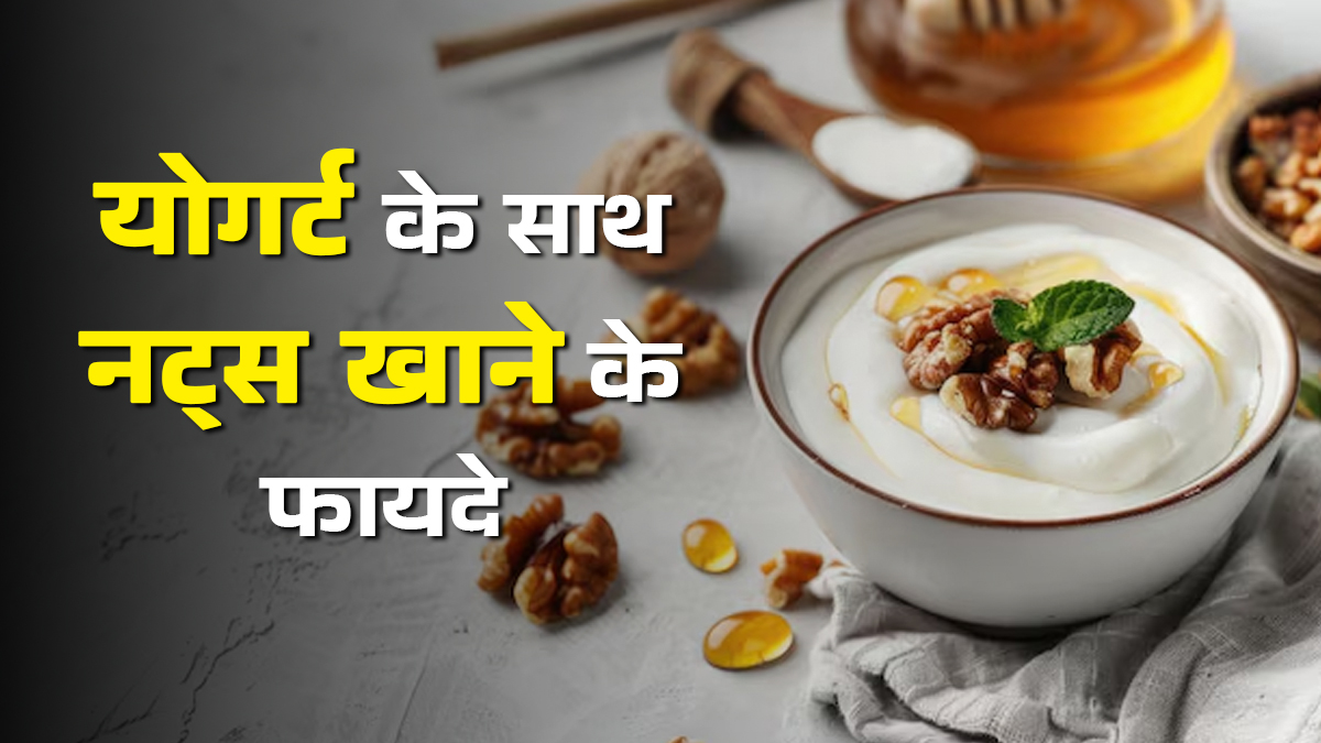 योगर्ट में नट्स डालकर खाने से शरीर को मिलते हैं 6 फायदे
