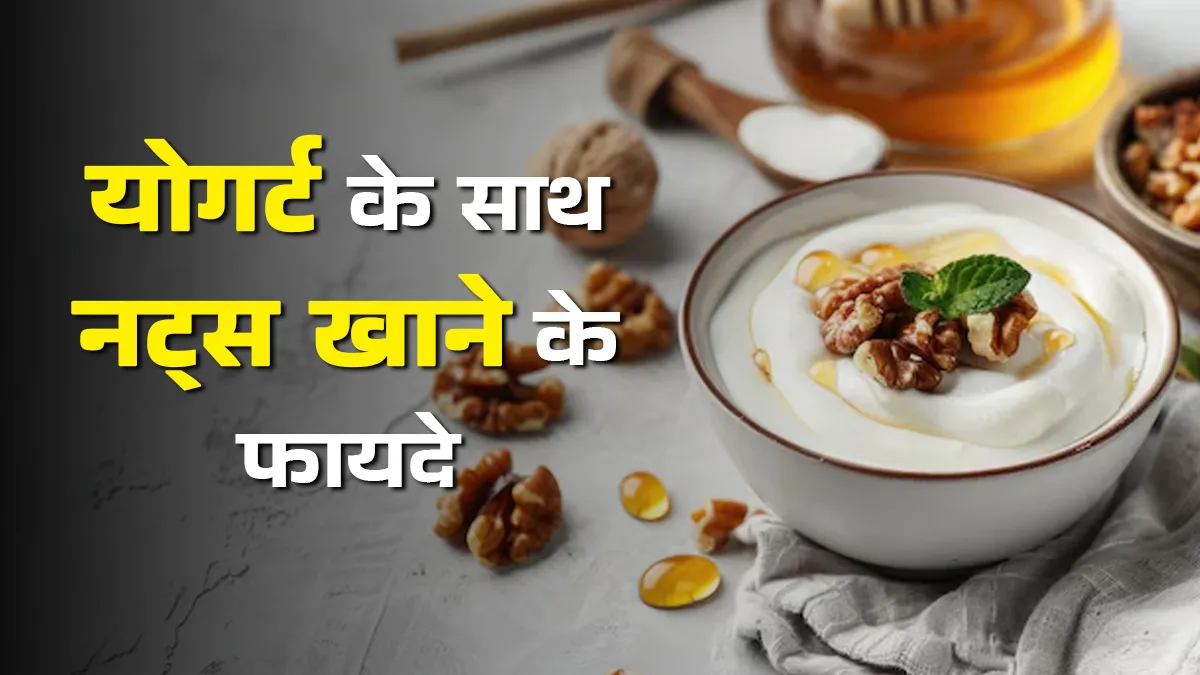 योगर्ट में नट्स डालकर खाने से शरीर को मिलते हैं 6 फायदे
