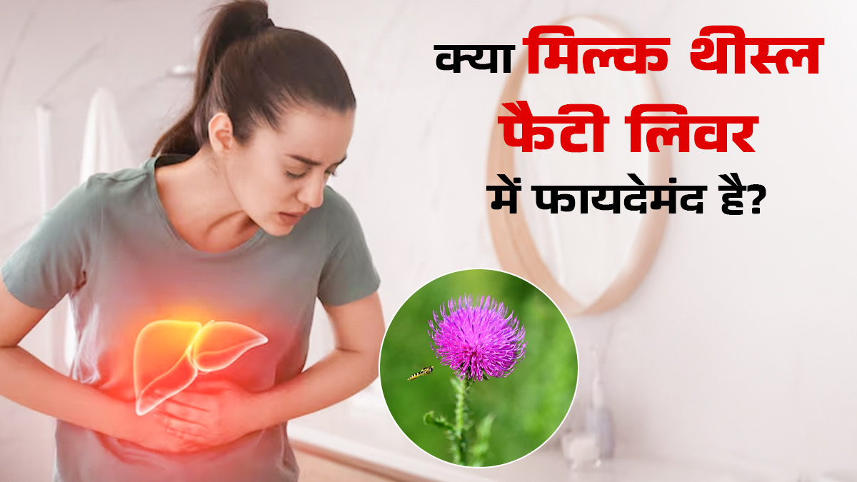 Fact Check: क्या मिल्क थीस्ल फैटी लिवर का इलाज कर सकता है? आयुर्वेदिक डॉक्टर से जानें