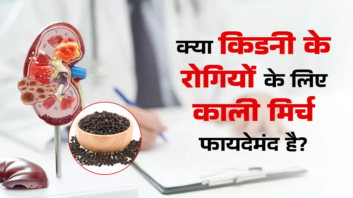 क्या किडनी के रोगियों के लिए काली मिर्च का सेवन करना फायदेमंद होता है? जानें एक्सपर्ट से