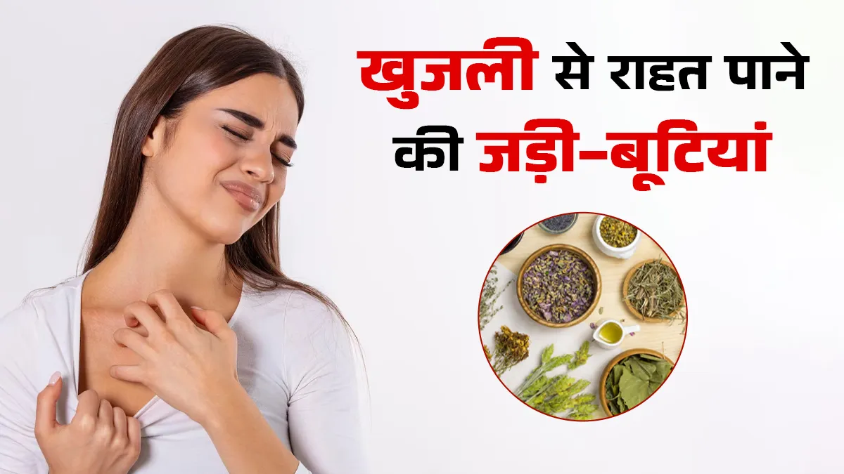 सर्दी में स्किन की खुजली से तुरंत राहत पाने के लिए इस्तेमाल करें ये 5 जड़ी बूटियां, मिलेगा आराम