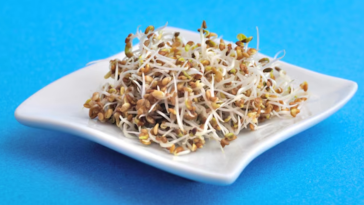 fenugreek and moong in winter