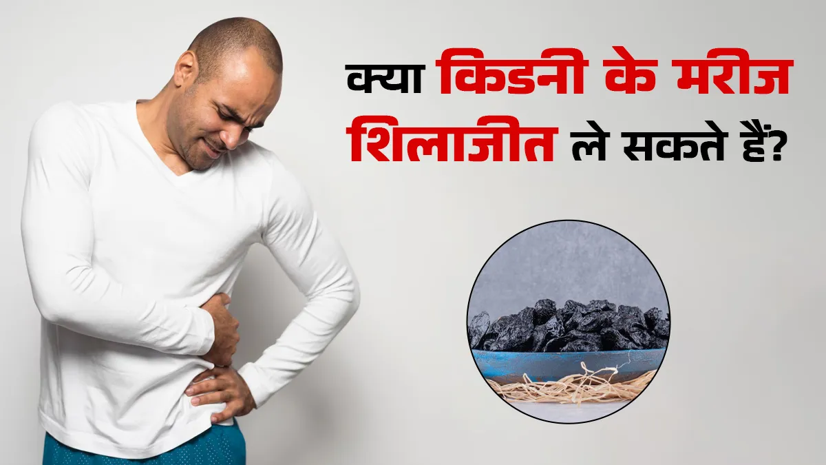 किडनी के मरीज शिलाजीत ले सकते हैं या नहीं? आयुर्वेदाचार्य से जानें