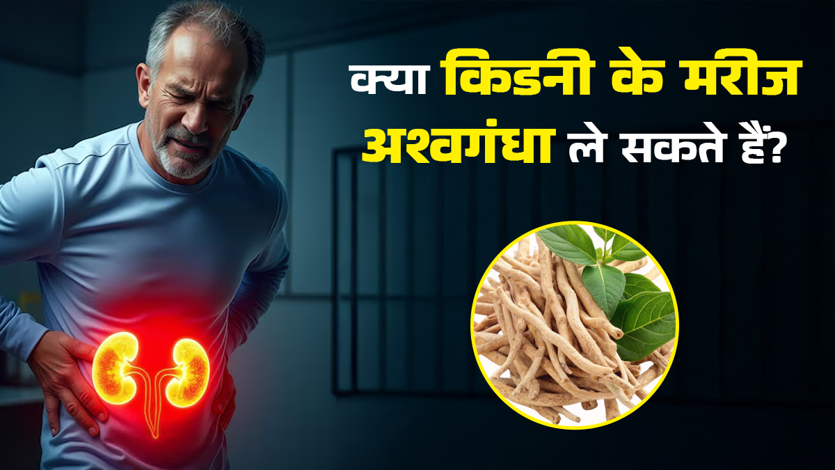 किडनी के मरीज अश्वगंधा लें या नहीं? डॉक्टर बताते हैं सही जवाब

