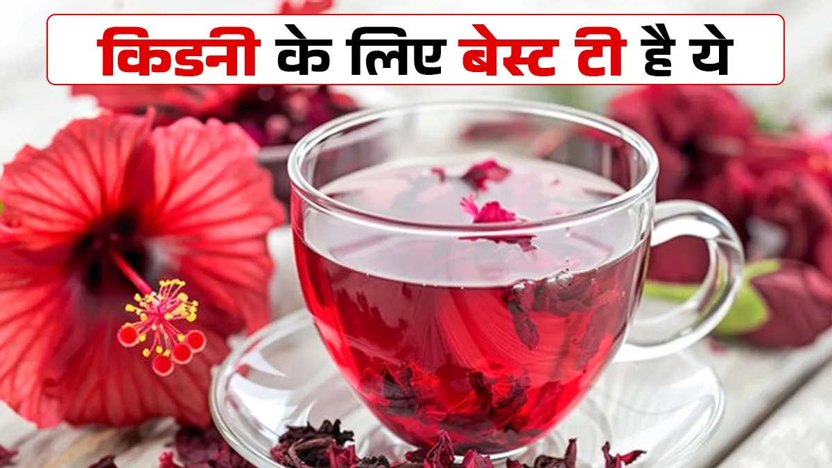 आयुर्वेदिक डॉक्टर ने बताया किडनी के लिए गुड़हल की चाय पीने के फायदे, जानकर आप भी कर सकते हैं ट्राई