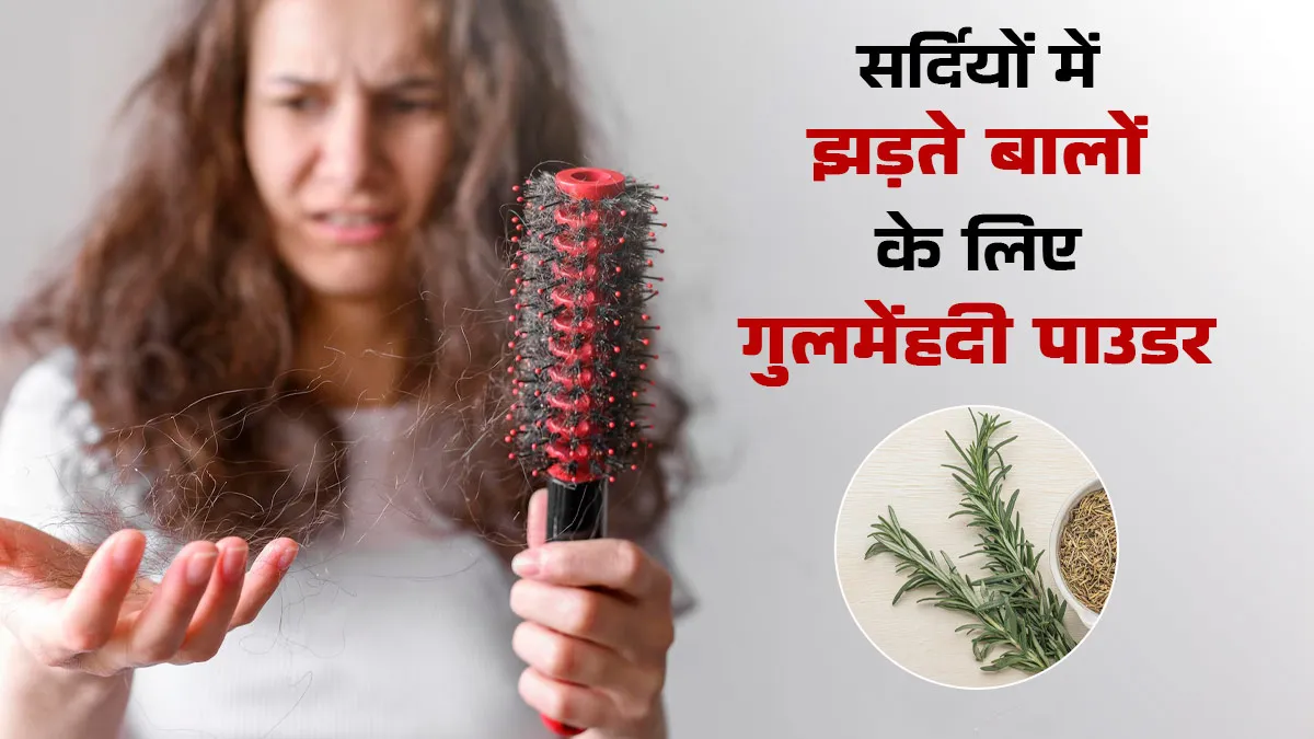 सर्दियों में झड़ते बालों से हैं परेशान, करें गुलमेंहदी पाउडर का इस्तेमाल