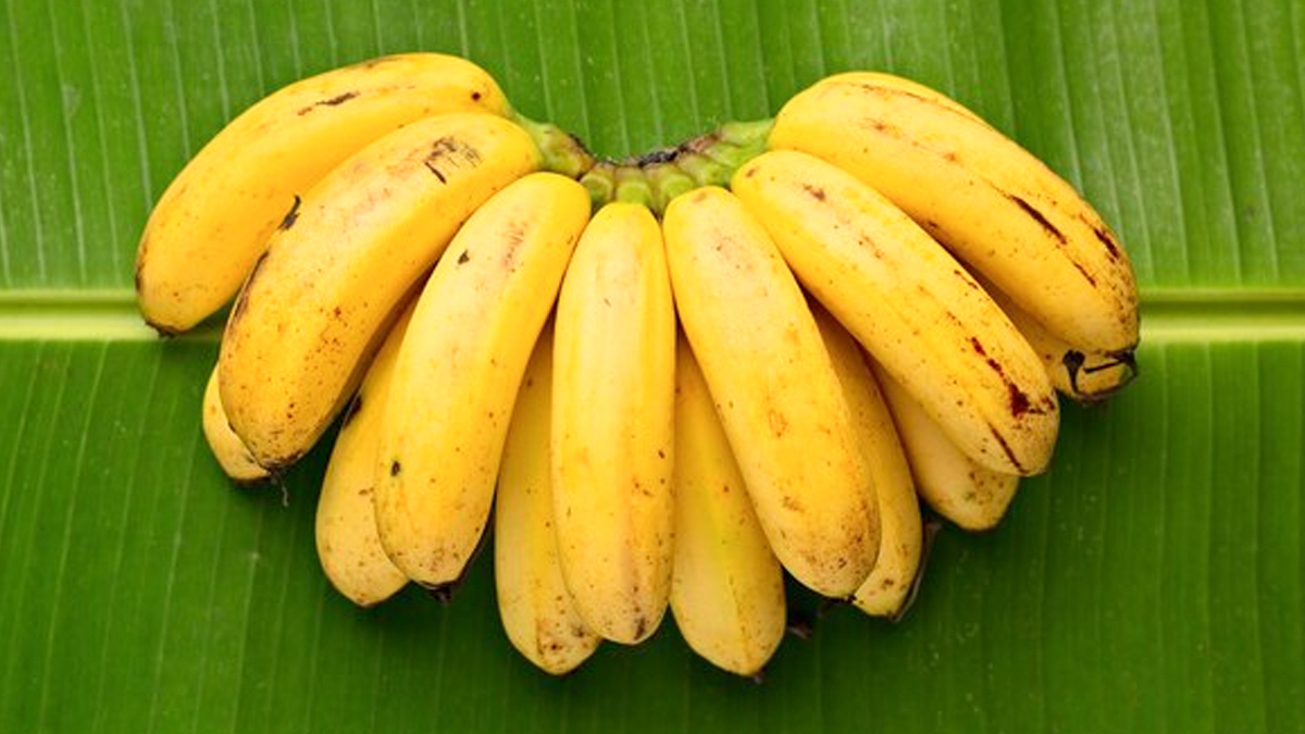 kela-khane-ke-nuksan