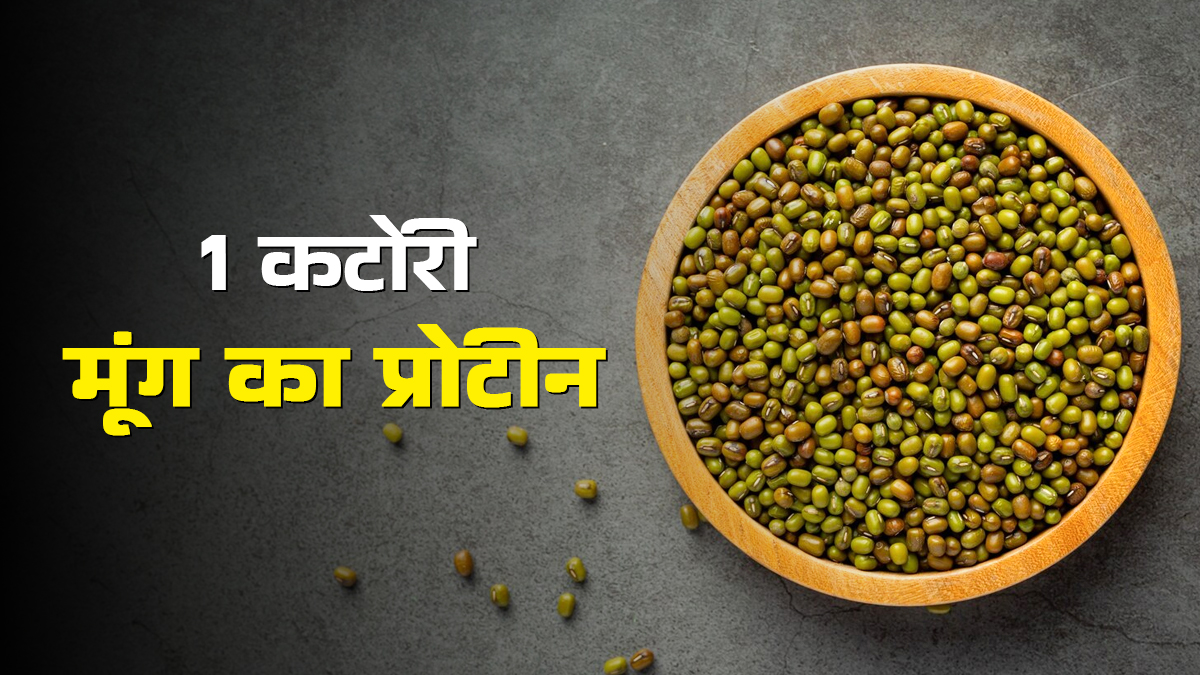 एक कटोरी अंकुरित मूंग में कितना प्रोटीन होता है? एक्सपर्ट से जानें