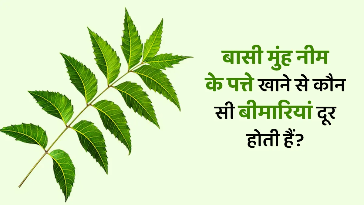 बासी मुंह नीम के पत्ते खाने से कौन सी बीमारियां दूर होती हैं?