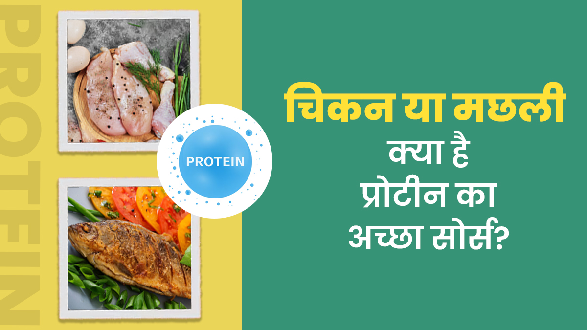 चिकन या मछली, प्रोटीन का सबसे अच्छा स्रोत कौन सा है?