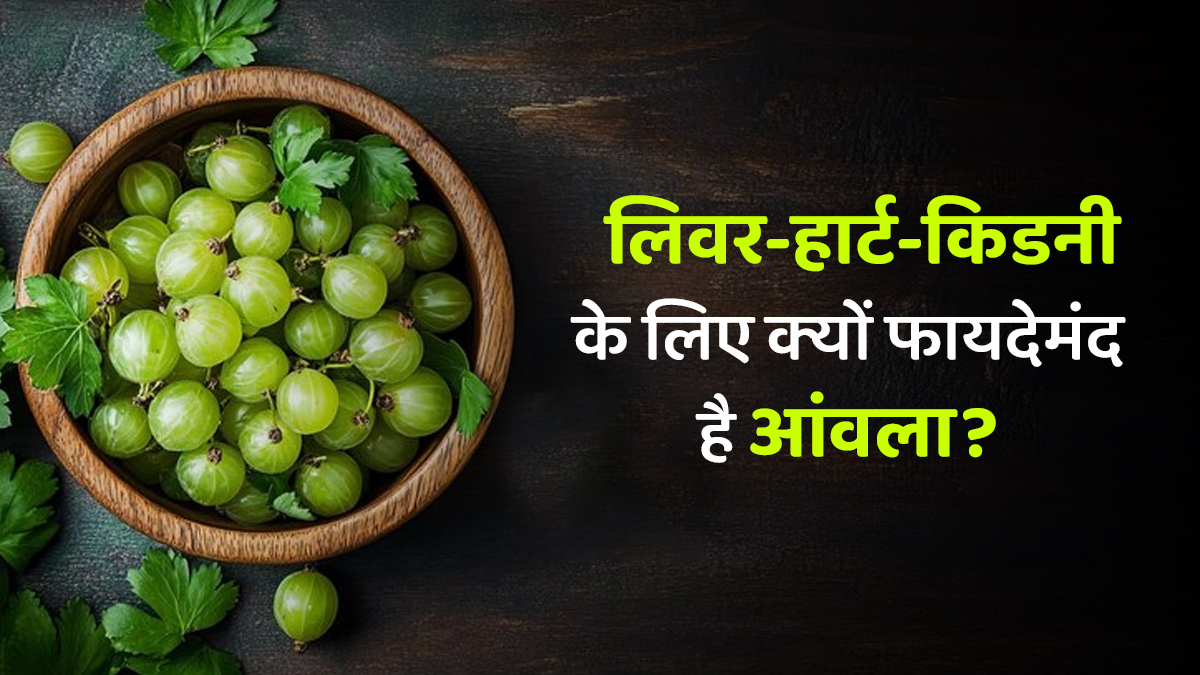 ल‍िवर-हार्ट-क‍िडनी के ल‍िए चमत्कारी है आंवला, एक्‍सपर्ट से जानें फायदे