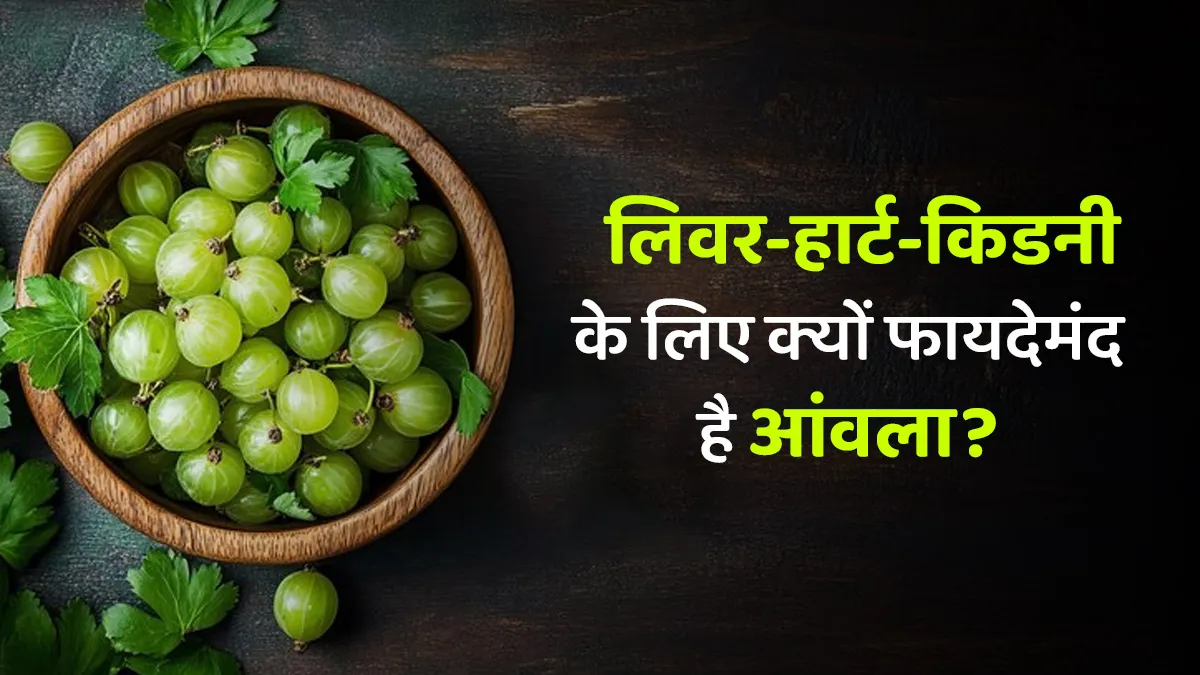ल‍िवर-हार्ट-क‍िडनी के ल‍िए चमत्कारी है आंवला, एक्‍सपर्ट से जानें फायदे