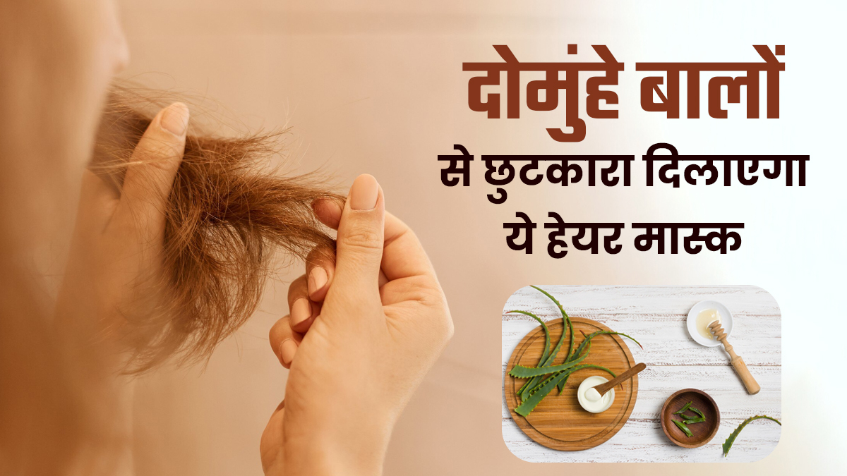 दोमुंहे बालों से हैं परेशान? इस्तेमाल करें घी और एलोवेरा सीरम, मिलेंगे कई फायदे