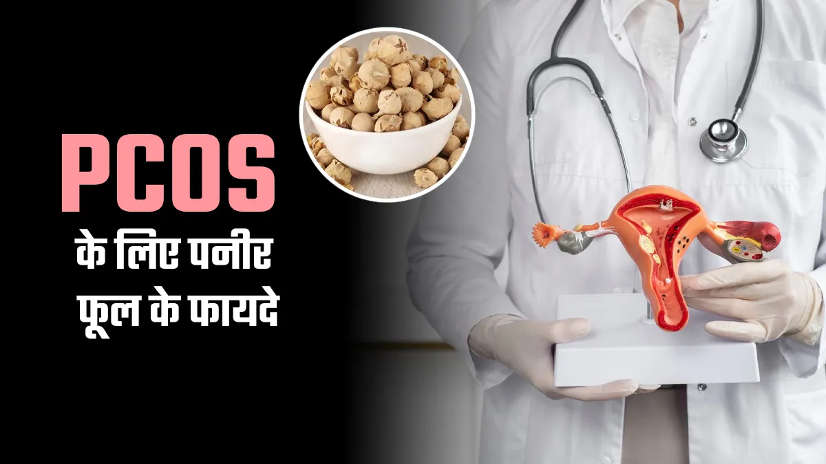 PCOS के लिए पनीर फूल के फायदे, आयुर्वेदिक डॉक्टर से जानें