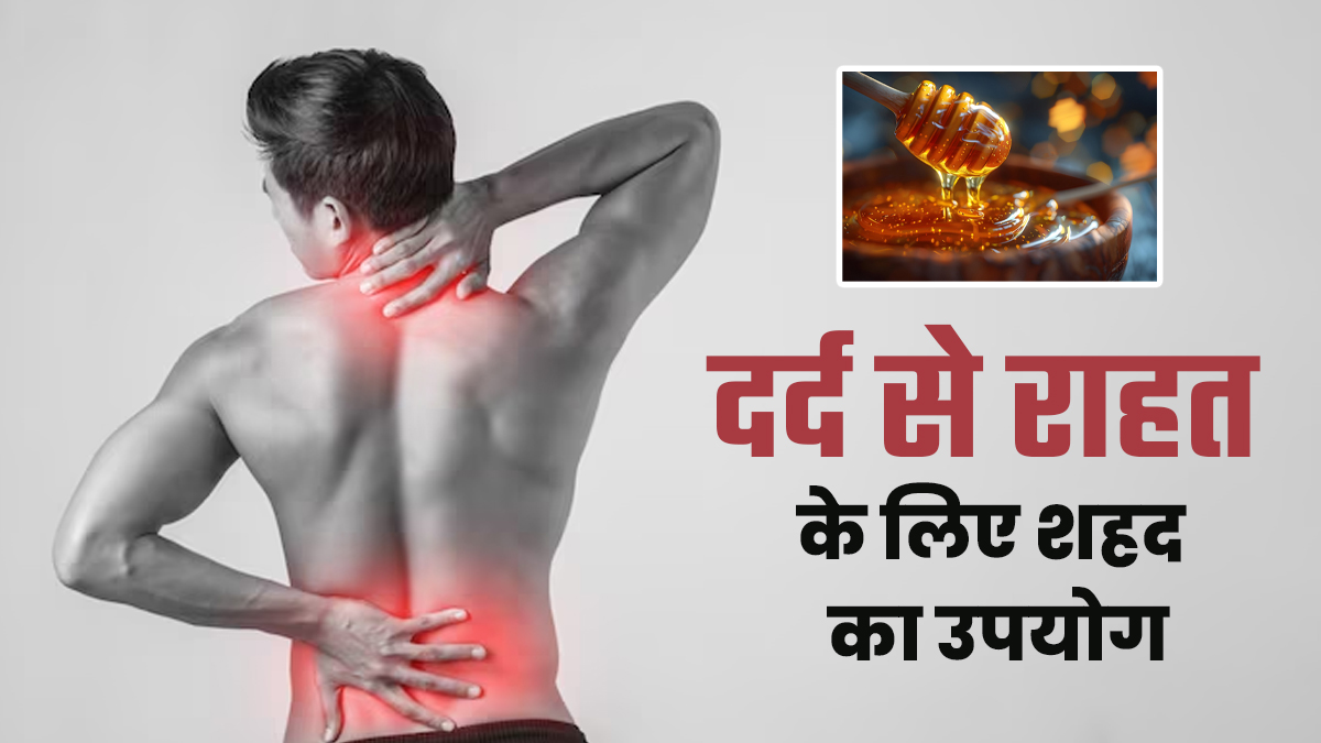 पैन किलर के रूप में शहद का इस्तेमाल कैसे करें? डॉक्टर से जानें