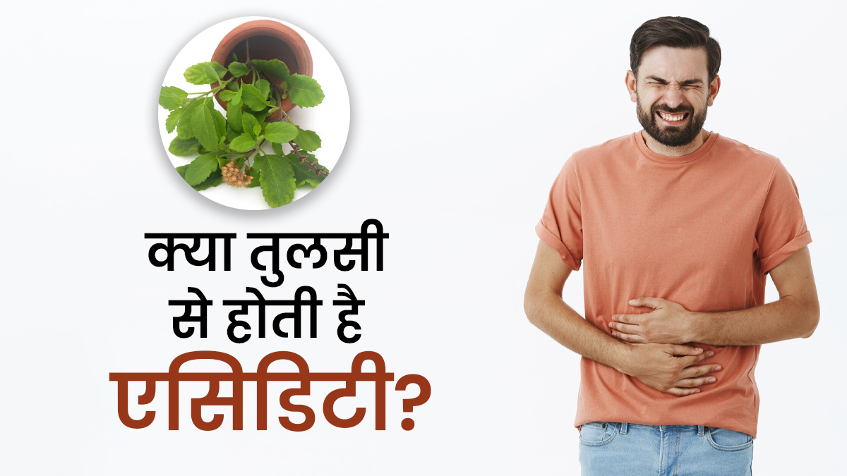 क्या तुलसी से एसिडिटी हो सकती है? जानें डॉक्टर से