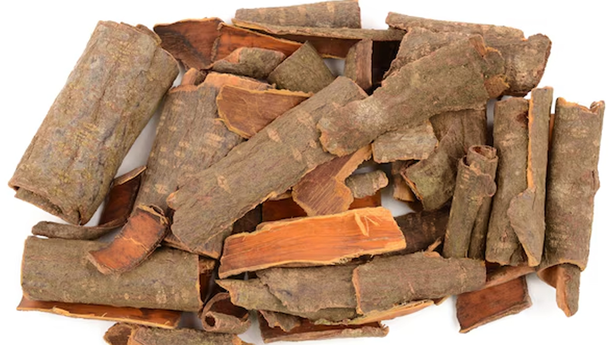 benefits and uses of ashoka chal during periods in hindi 01 (5)