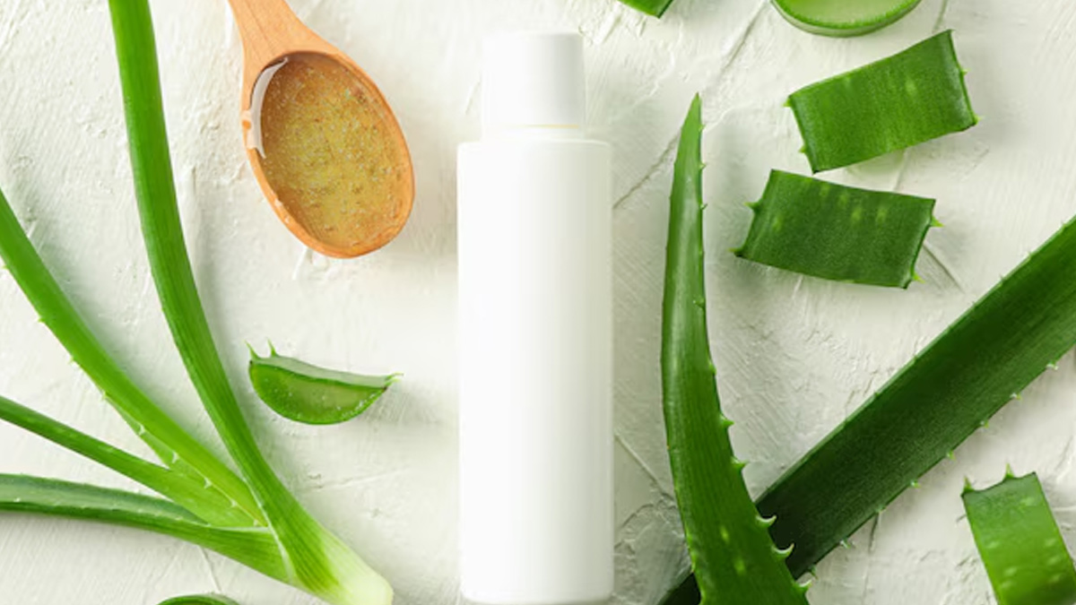 एलोवेरा Vs ग्लिसरीन: सर्दियों में ड्राई स्किन के लिए क्या है बेस्ट? एक्सपर्ट ने बताया