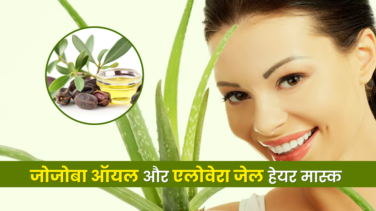 घने बालों के लिए घर पर जोजोबा ऑयल और एलोवेरा जेल से बनाएं हेयर मास्क