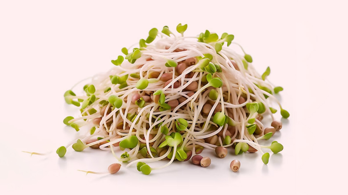 is it okay to eat sprouts that are 3 4 days old in hindi 1