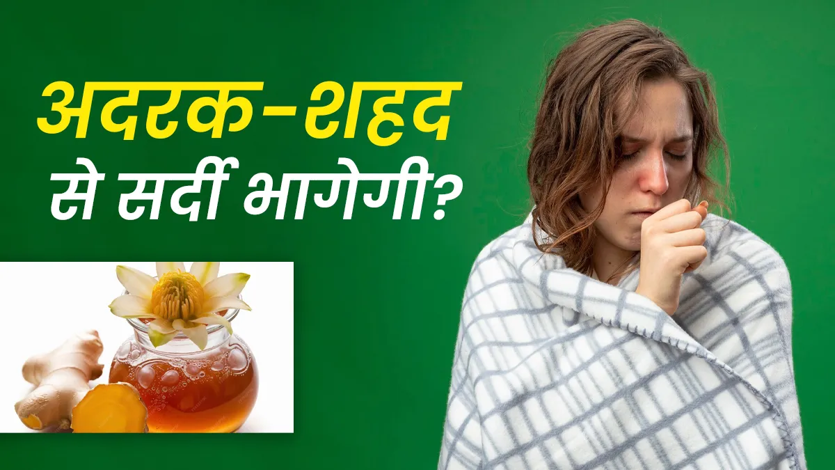 सर्दी-खांसी में अदरक-शहद का पानी क्या सच में झट से असर करता है? डॉक्टर से जानें