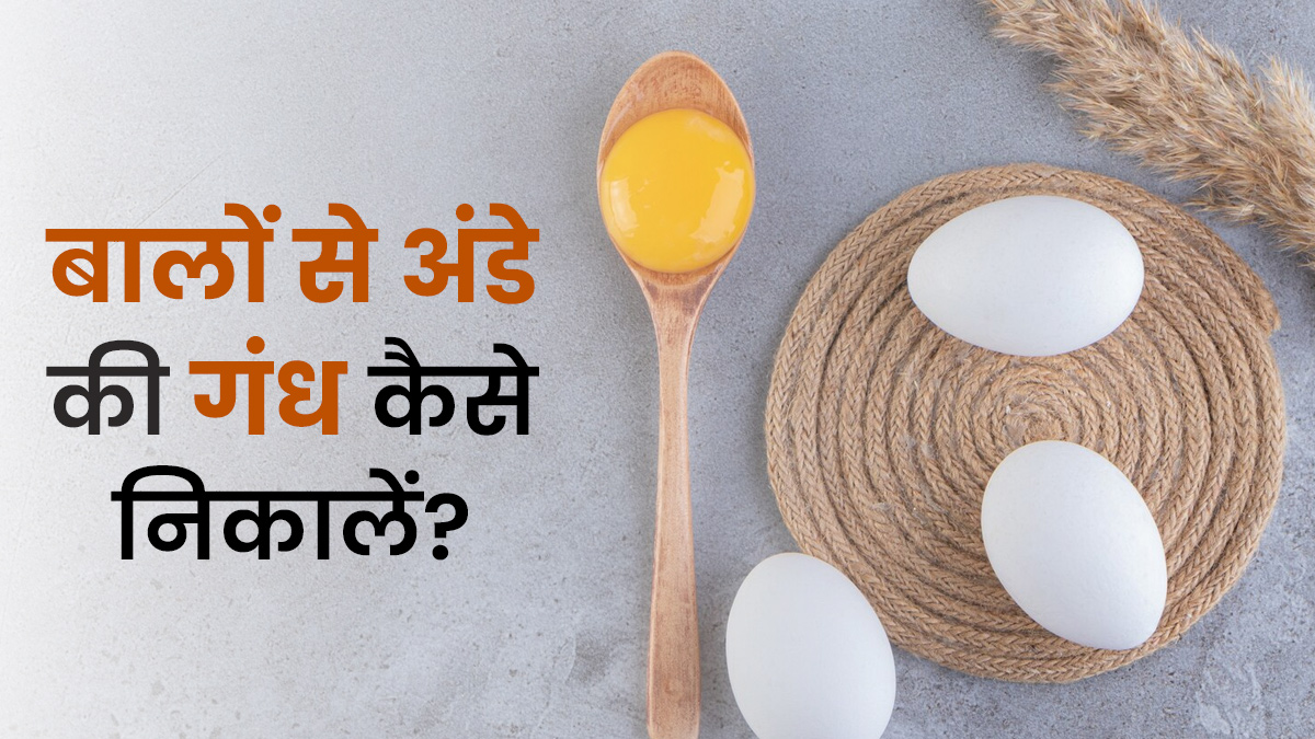 बालों से अंडे की गंध कैसे निकालें? ट्राई करें ये कारगर घरेलू नुस्खे