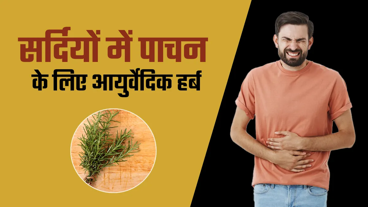 सर्दियों में रहते हैं पाचन की समस्याओं से परेशान? करें इस हर्ब की पत्ती का इस्तेमाल, मिलेंगे कई लाभ