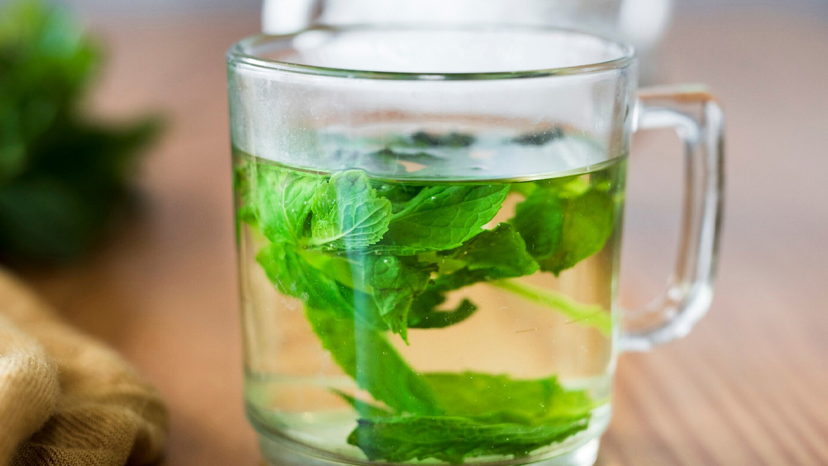 tulsi benefits for viral fever and ways to consume it in hindi 1