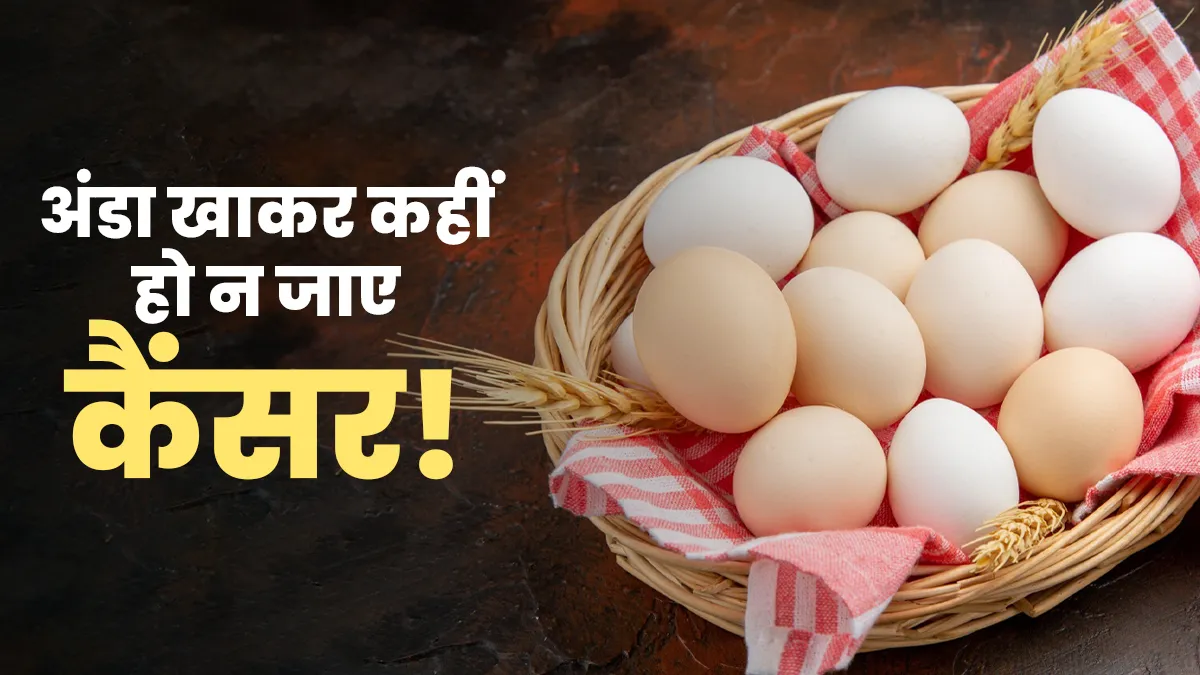 कहीं आप तो नहीं खा रहे कैंसर पैदा करने वाले अंडे? लैब टेस्ट में फेल हुआ ये पॉपुलर ब्रांड