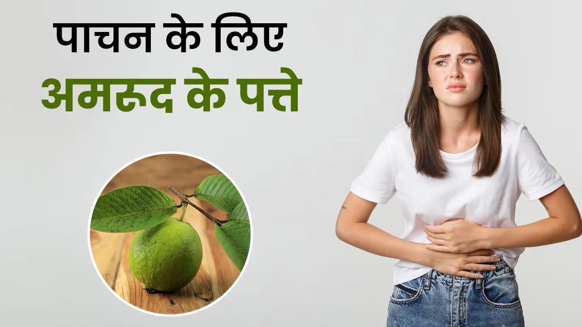 पेट की गड़बड़ी को कहना है बाय‑बाय? अमरुद के पत्तों का इन 3 तरीकों से करें इस्तेमाल