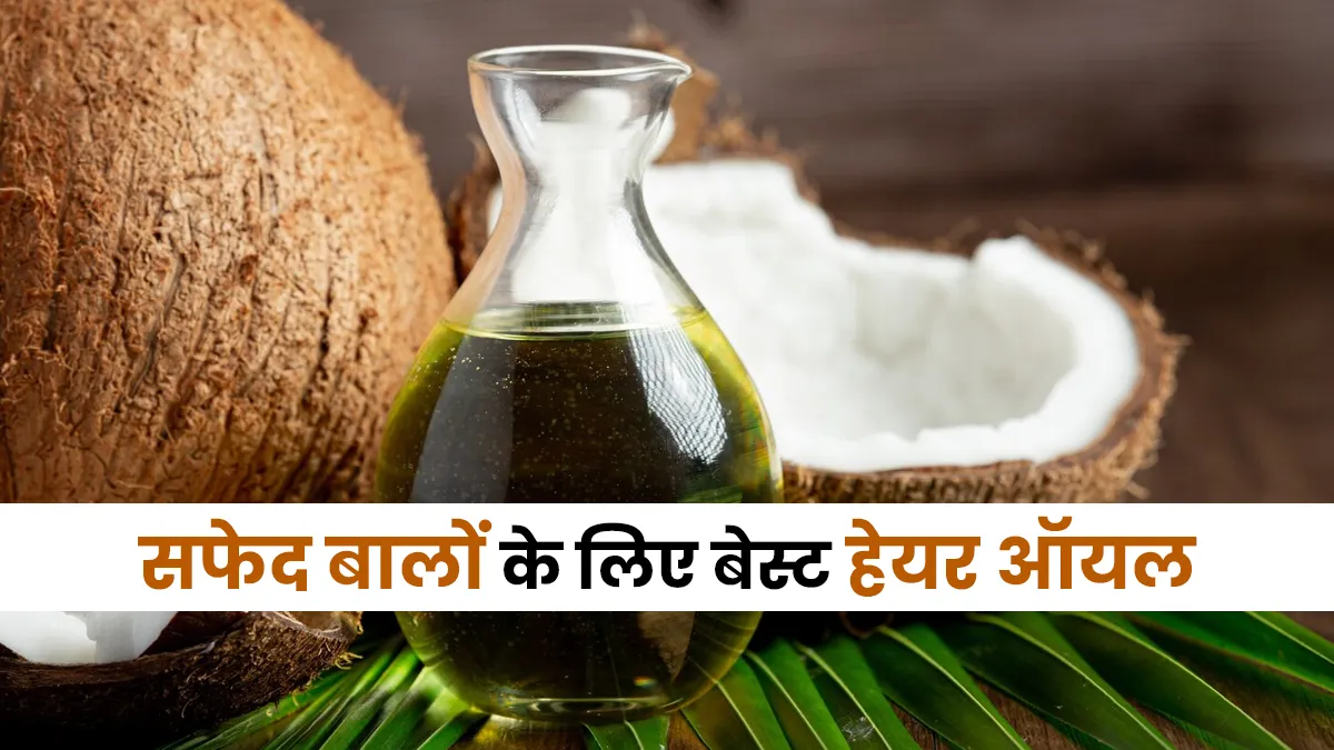 Best oil for grey hair: आंवला या नारियल, सफेद बालों के लिए कौन सा तेल बेहतर है? एक्सपर्ट से जानें