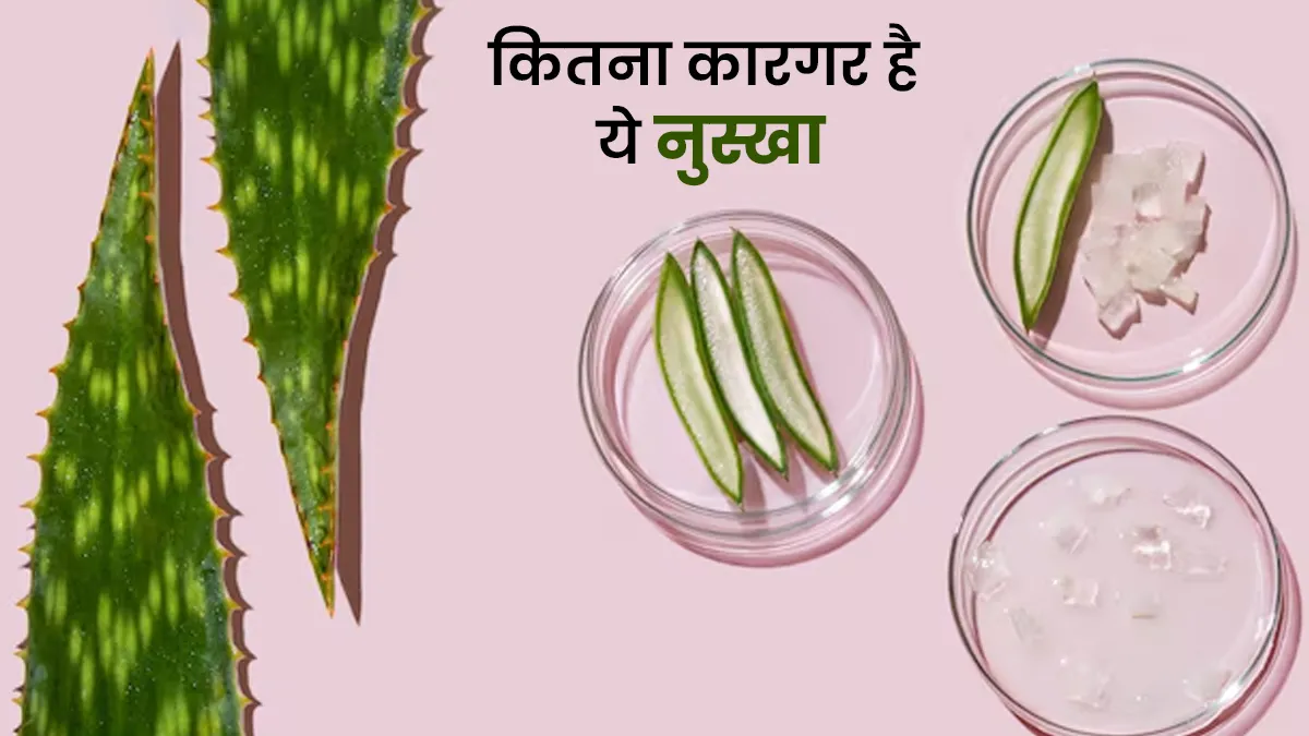 क्या हम ग्लिसरीन को एलोवेरा जेल और गुलाब जल के साथ मिला सकते हैं? आप भी करते हैं ये काम तो जानें एक्सपर्ट की राय