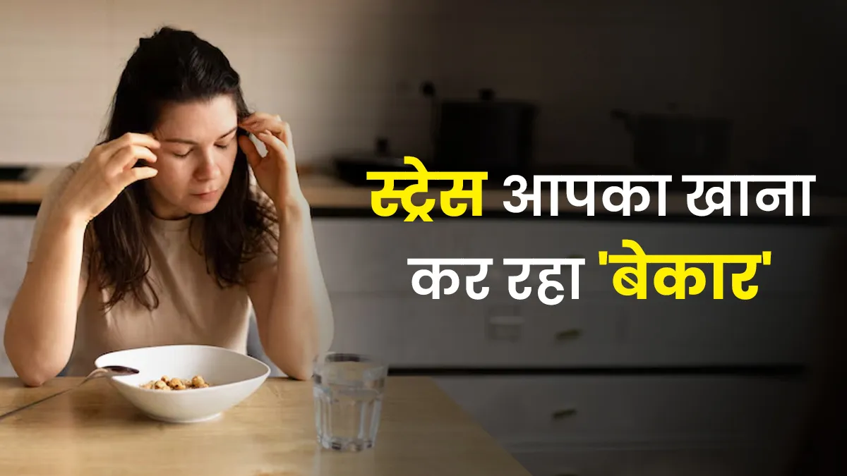 क्या स्ट्रेस आपका खाना 'बेकार' कर रहा है? जानें पोषक तत्वों के अवशोषण पर असर