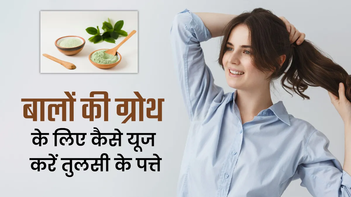बाल बढ़ाने में मदद करेंगे तुलसी के पत्ते, आयुर्वेदिक एक्सपर्ट से जानें इस्तेमाल का सही तरीका