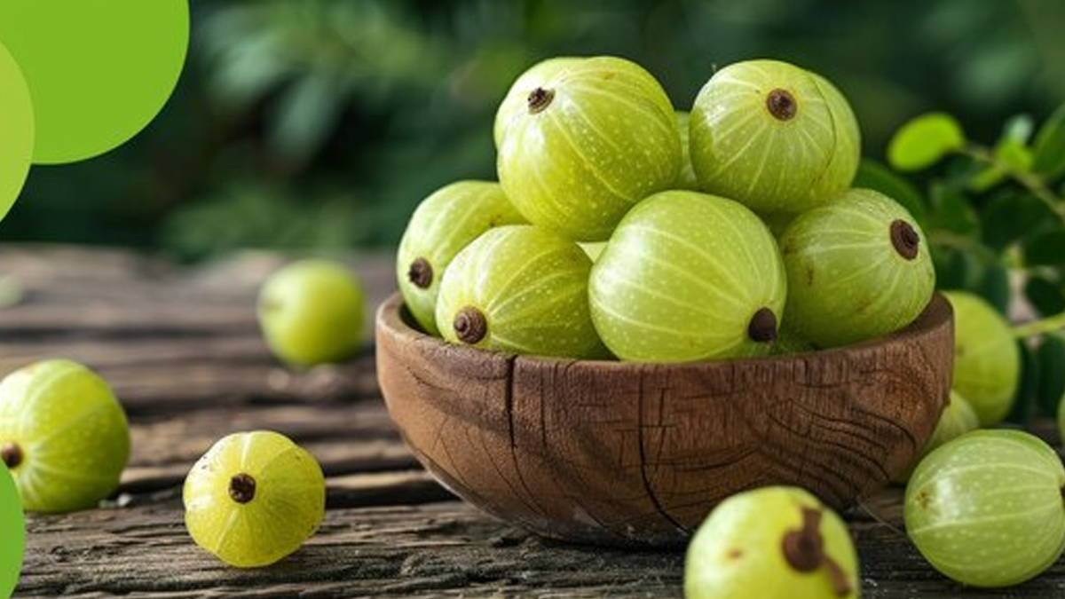 amla-benefits-in-hindi
