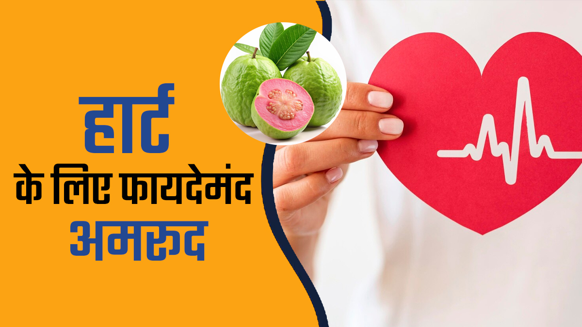 अमरूद कैसे रखता है हार्ट को सेफ? जानें न्यूट्रिशनिस्ट की सलाह
