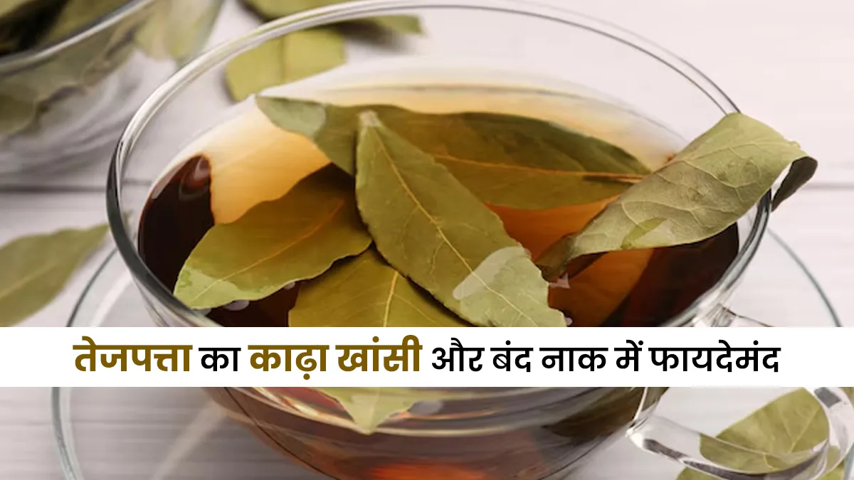 सर्दी में खांसी और बंद नाक से परेशान? तेजपत्ता का काढ़ा देता है राहत