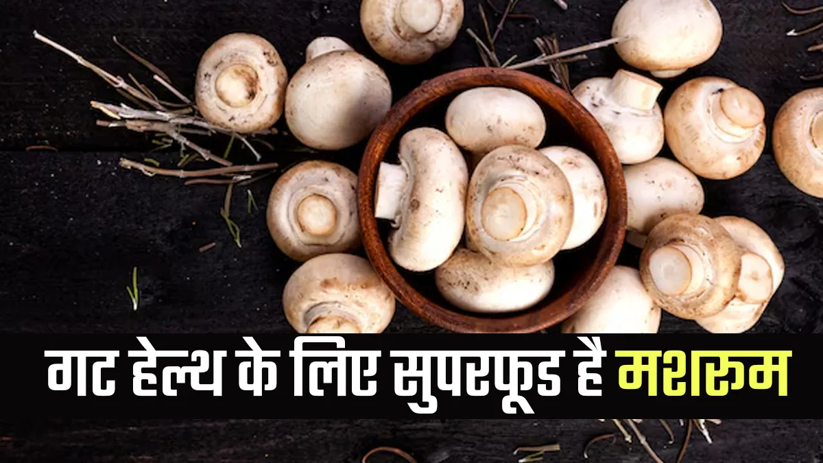 गट हेल्थ के लिए मशरूम क्यों है सुपरफूड? एक्सपर्ट से जानें इसके फायदे