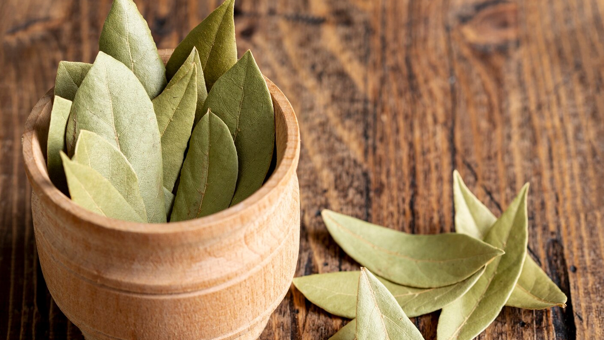 bay leaf benefits in hindi doctor quotes