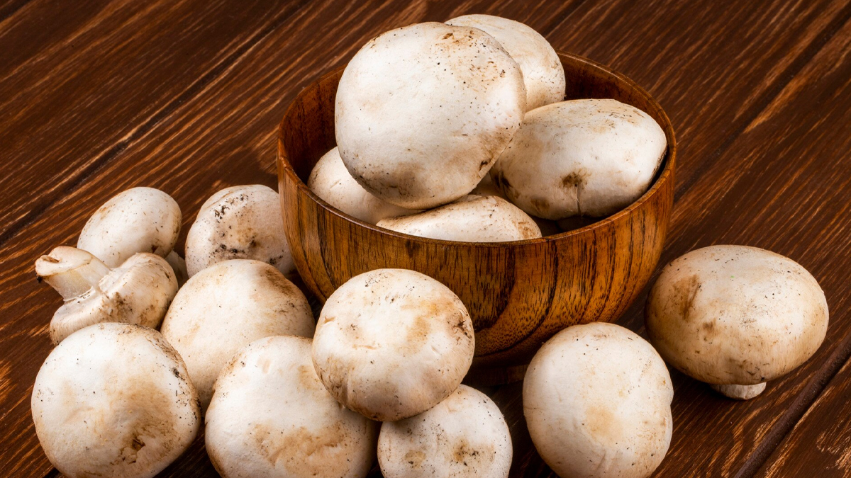 gut-health-mushroom-khane-ke-fayde