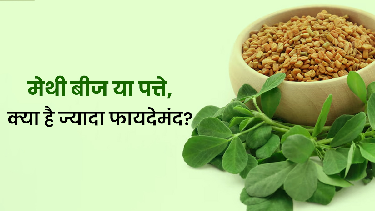 मेथी के बीज या पत्ते, क्या खाना है सेहत के लिए ज्यादा फायदेमंद?