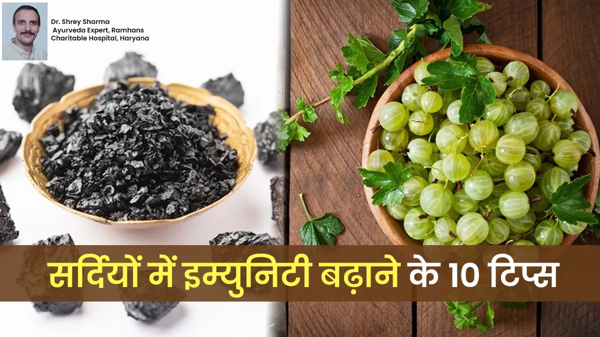 क्या आप सर्दियों में इम्युनिटी बढ़ाना और हार्मोन बैलेंस करना चाहते हैं? तो आयुर्वेदाचार्य के ये10 उपाय अपनाएं