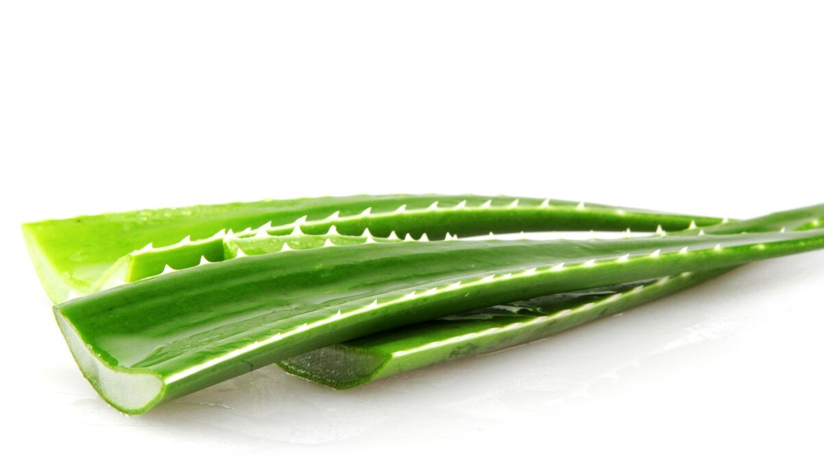 1 - 2025-12-21T181027.646